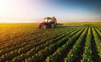 Advogado Rural em Américo Brasiliense