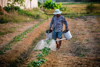 Aposentadoria Especial Rural em Lorena
